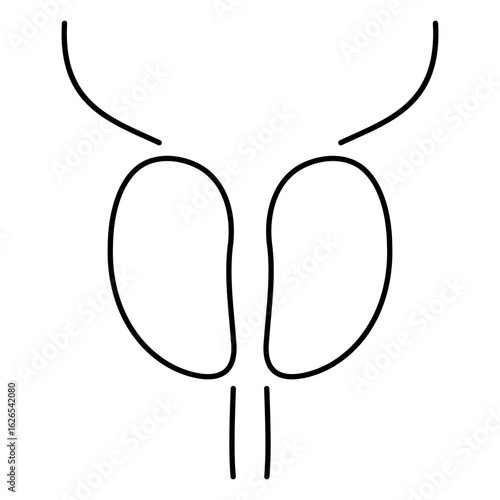 prostatitis icon isolated on white background, vector illustration.