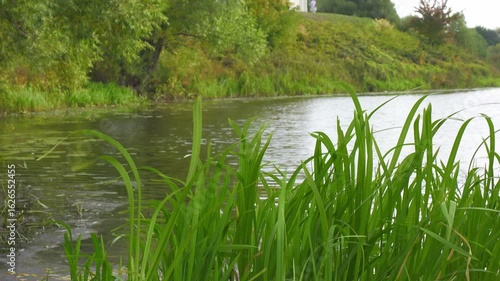 Church of the Intercession on the Nerl, Vladimir region, Bogolyubovo, Church of the Intercession on the Nerl. High quality 4k footage.
