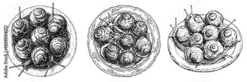 France is famous for its escargots which is a well known food in french cuisine often depicted as isolated doodle hand drawn sketch with outline style