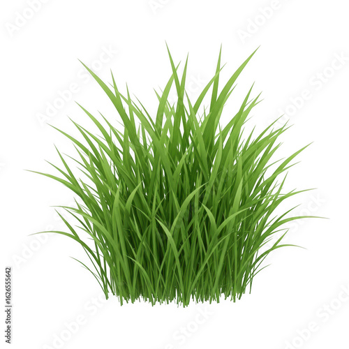 Vibrant green grass clump isolated on transparent background