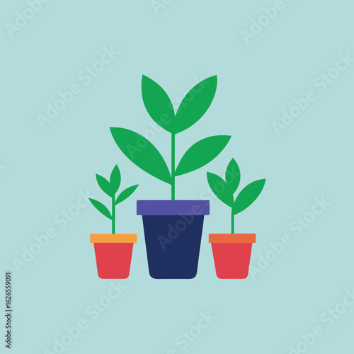 Vector art of three potted plants showing different stages of growth