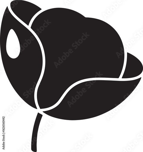 a poppy flower bud isolated silhouette art illustration design stock photos royalty free image premium quality