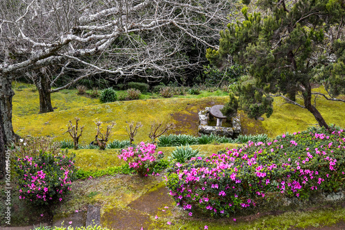 Ponta da Madrugada - Scenic sunrise viewpoint on the eastern coast of São Miguel Island, Azores, Portugal