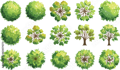 Vector top and side view tree set, flat green foliage design for landscape map, game assets, city planning, isometric garden illustration