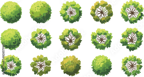 Top view tree collection, green foliage vector design for maps, city planning, garden layout, game assets, isometric elements, landscape decoration set