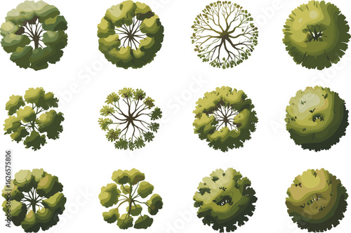 Top view vector trees, artistic green foliage design, overhead tree clipart set for maps, landscaping, game design, and garden layout visuals