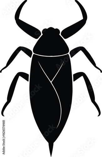 Silhouette giant water bug vector Illustrator