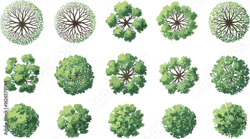Top view tree set, aerial forest foliage vector, overhead garden tree collection, landscape design element, green tree clipart for park, map or game