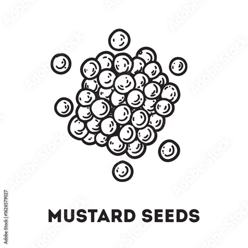 Mustard seeds sketch. Hand drawn vector illustration. Handful of spice. Kitchen spice.