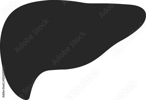 Silhouette of a human liver organ anatomy body