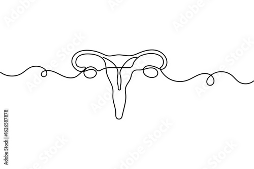 Continuous one line uterus drawing in minimalist style of female organ isolate outline vector illustration
