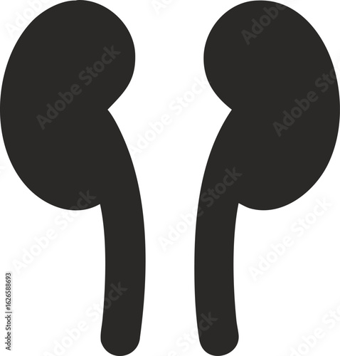 Stylized icon of human kidneys anatomy pair