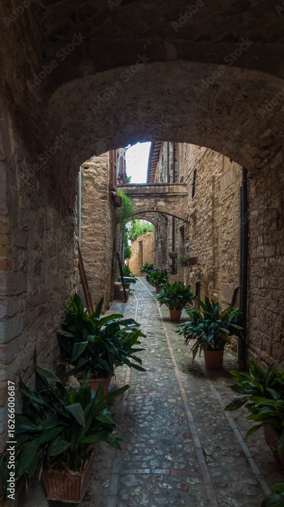 Obraz premium narrow street in spello in umbria
