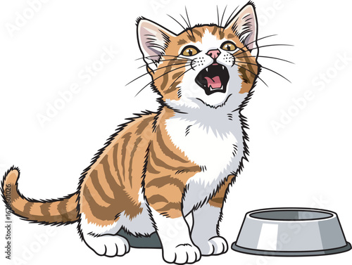 Hungry ginger tabby kitten meowing loudly for food next to an empty bowl.
