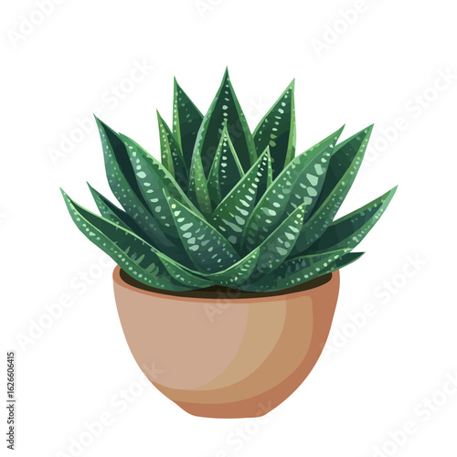 Minimal flat vector of a Haworthia, 2D icon-style illustration on white background