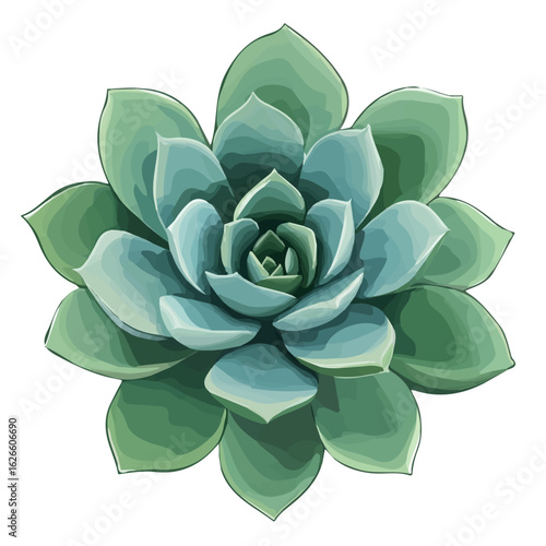 2D flat vector illustration of a Echeveria in icon style, isolated on white background