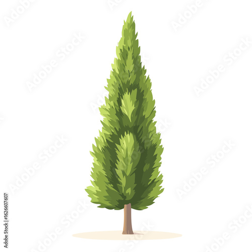 Minimal flat vector of a Cypress Tree, 2D icon-style illustration on white background