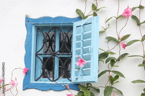 window with flowers