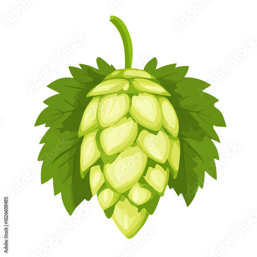 Hops, flat style 2D vector image, isolated on a white background
