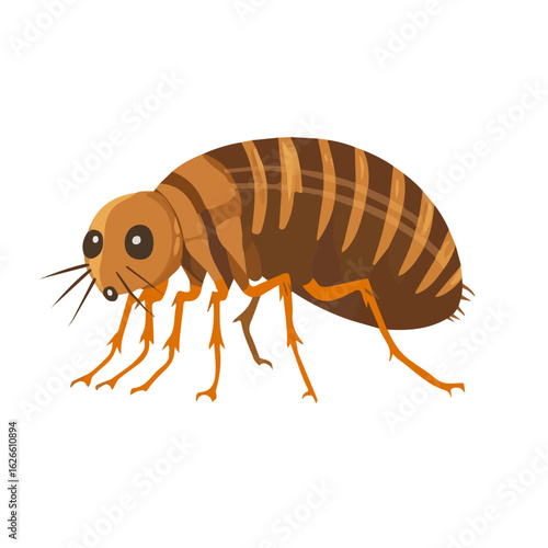 2D flat vector illustration of a Flea in icon style, isolated on white background