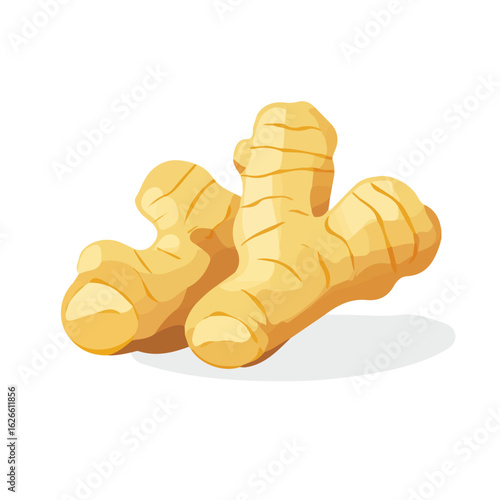 Flat 2D Ginger Root illustration, vector graphic in icon style, on white background