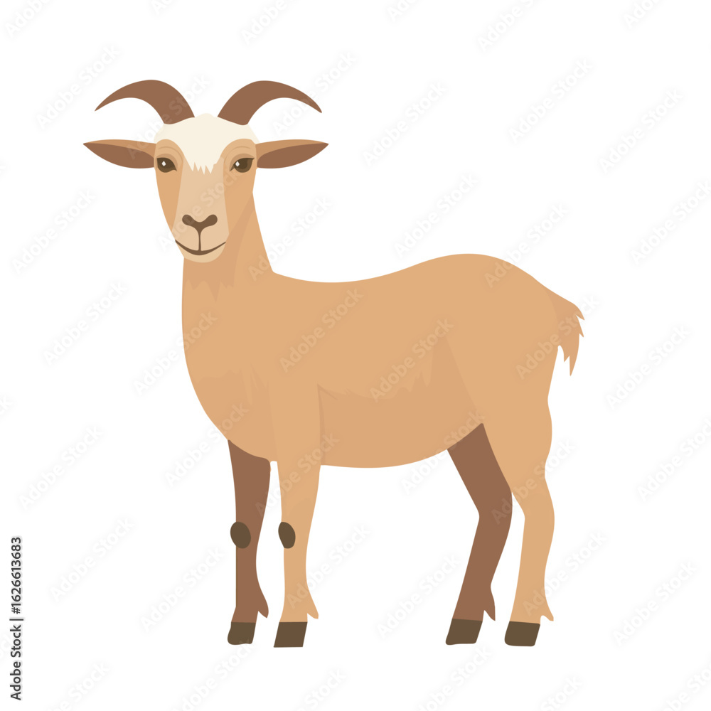 Obraz premium Goat, flat style 2D vector image, isolated on a white background