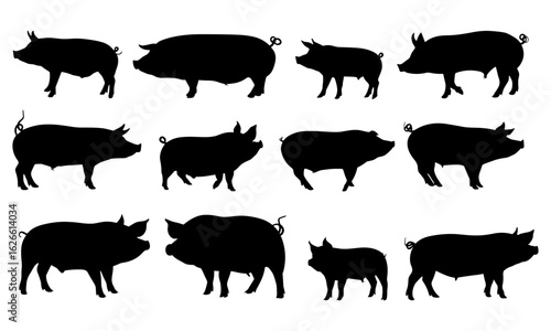 Vector collection of black pig silhouettes showing diverse pigs, hogs, and boars on white background. Suitable for farm and ranch branding, meat store logos, rural education