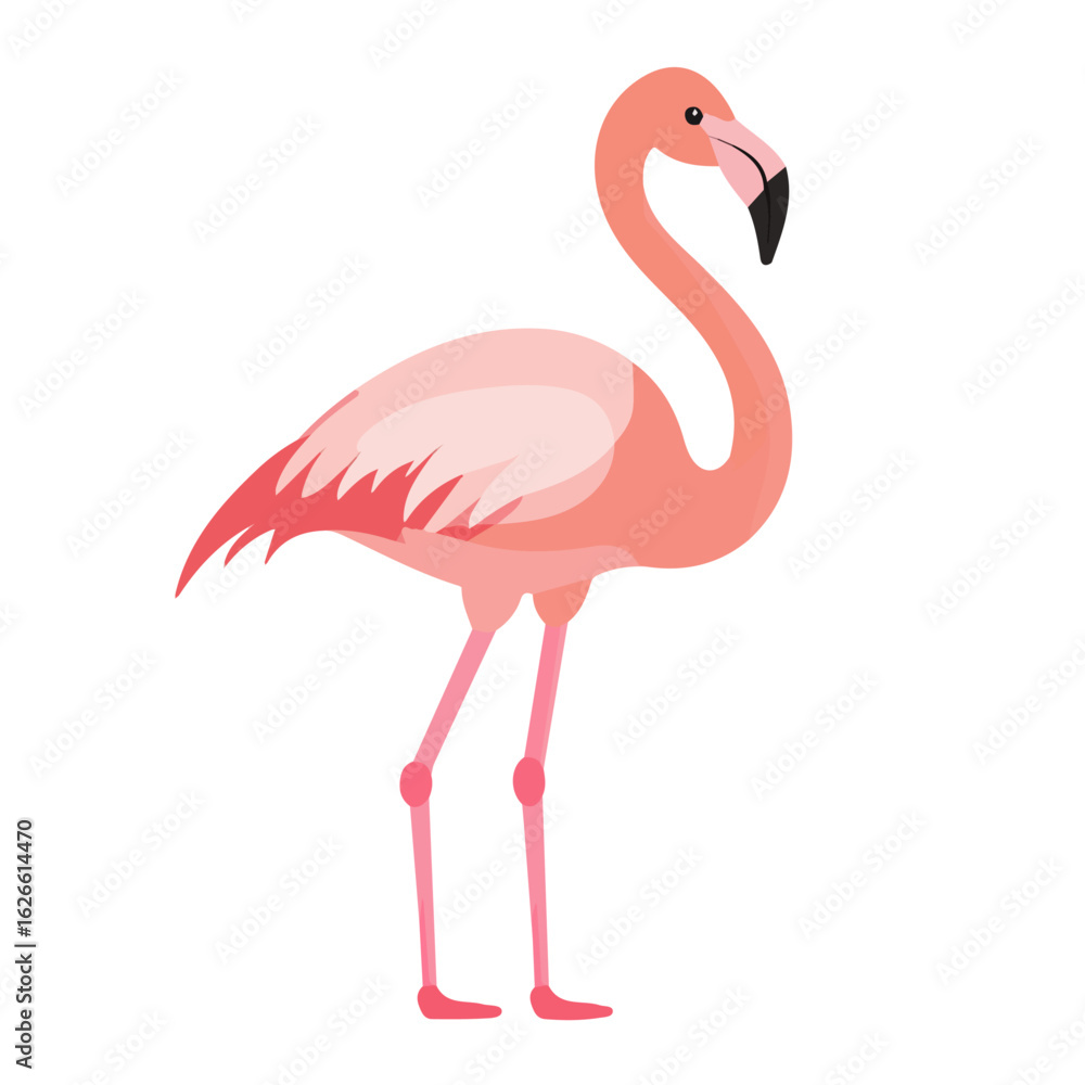 Fototapeta premium Flat 2D Flamingo illustration, vector graphic in icon style, on white background