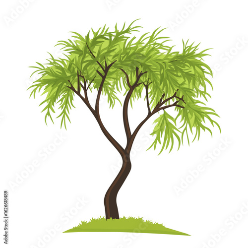 Flat 2D Tamarisk Tree illustration, vector graphic in icon style, on white background