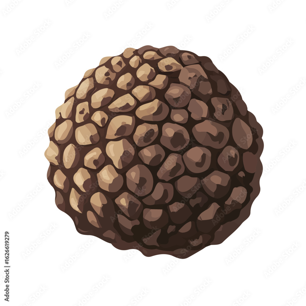 Minimal flat vector of a Truffle, 2D icon-style illustration on white background Minimal flat vector of a Truffle, 2D icon-style illustration on white background