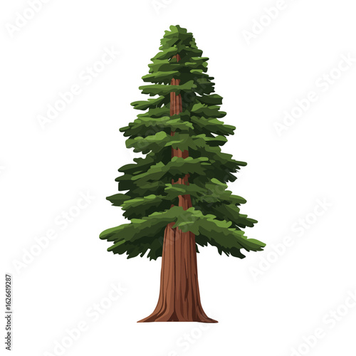 Minimal flat vector of a Redwood Tree, 2D icon-style illustration on white background