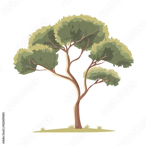 Minimal flat vector of a Tamarisk Tree, 2D icon-style illustration on white background