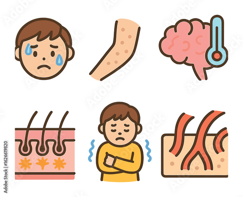 Body Temperature Regulation Icons. Flat vector mini-illustrations How our body regulates temperature in colors