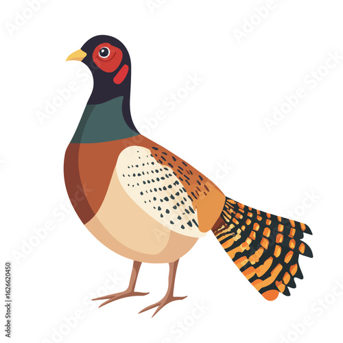 Minimal flat vector of a Pheasant, 2D icon-style illustration on white background
