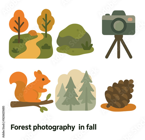 Forest Photography Icons. Flat vector mini-illustrations Forest photography in fall in colors children's