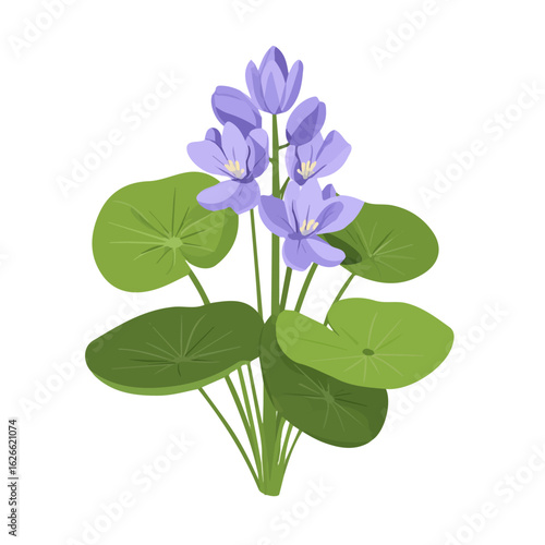 Minimal flat vector of a Water Hyacinth, 2D icon-style illustration on white background