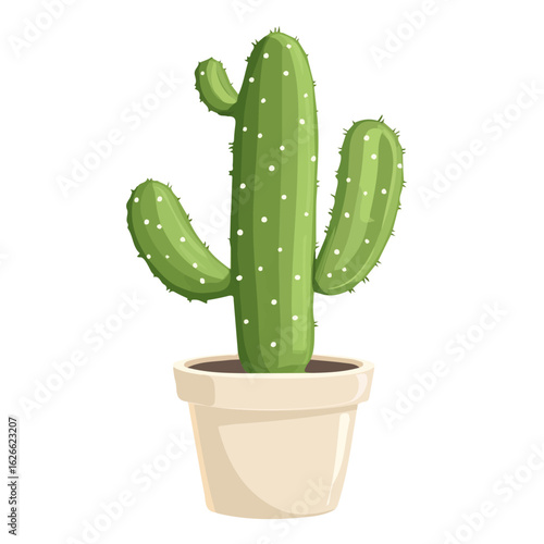 Old Lady Cactus, flat style 2D vector image, isolated on a white background