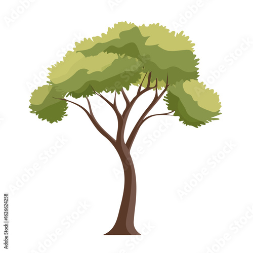 Flat 2D Tamarisk Tree illustration, vector graphic in icon style, on white background