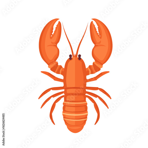 Flat 2D Lobster Tail illustration, vector graphic in icon style, on white background