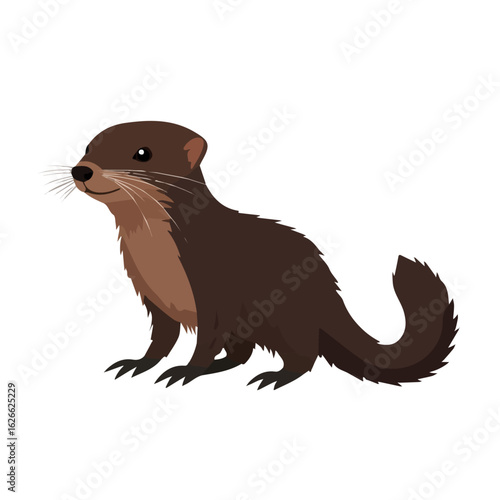 2D flat vector illustration of a Mink in icon style, isolated on white background