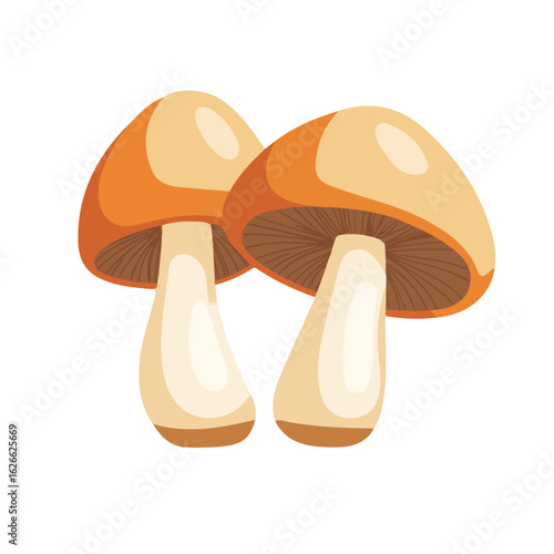 Flat 2D Mushrooms illustration, vector graphic in icon style, on white background