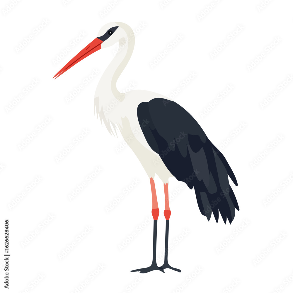 Fototapeta premium Stork, flat style 2D vector image, isolated on a white background