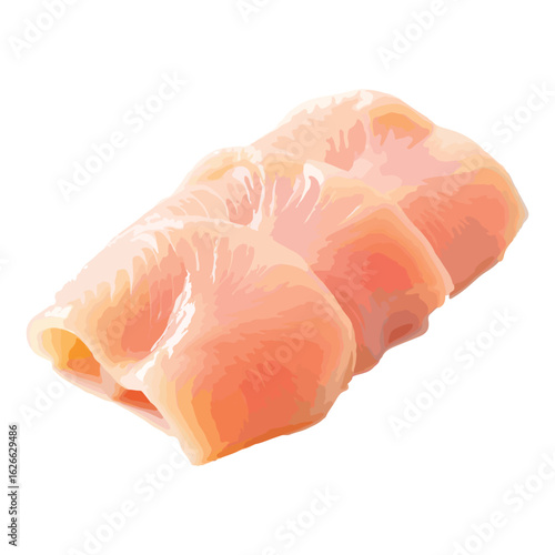 raw salmon fillet
