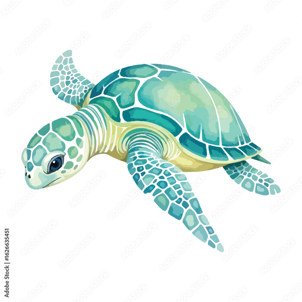 Fototapeta premium sea turtle vector illustration