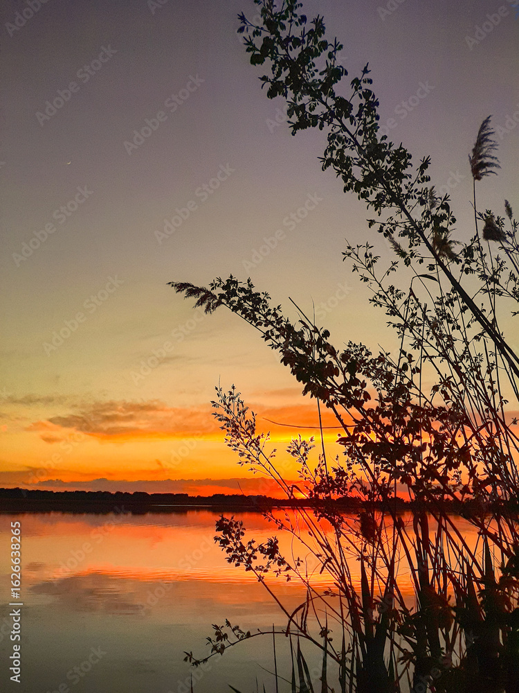 Naklejka premium Beautiful sunset with water, sky, trees and bushes 