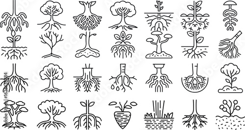 Tree and roots line icon set, vector illustration