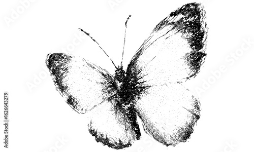 Retro butterfly vector illustration with grainy halftone stipple and photocopy texture. Perfect for y2k grunge collage, gothic 90s punk poster, vintage dotted banner, textured sticker effect