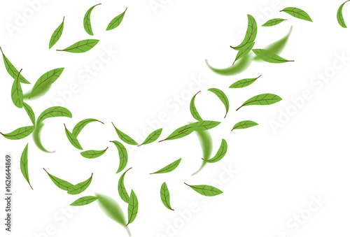 Green tea leaves flying on air stream, wind fresh herbal greenery, ecology banner