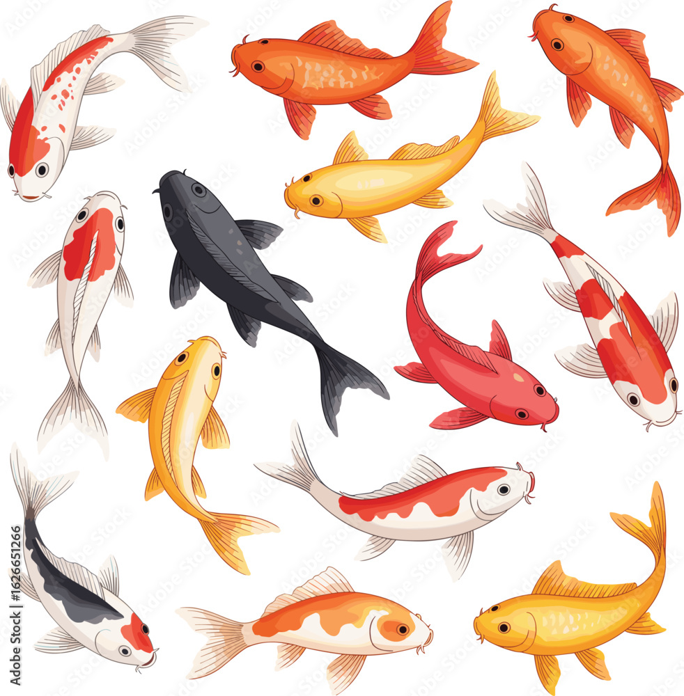 Naklejka premium Koi fish vector set, colorful ornamental carp, Japanese pond illustration, swimming koi collection, vibrant aquatic animal design, peaceful water garden art