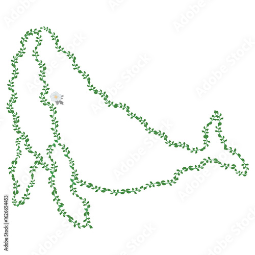 whale, Vintage floral pattern.Ornate circle. Ornate circle - Illustration.Circular patterns